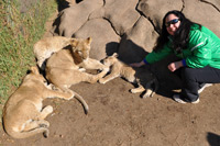 Lion Park