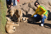 Lion Park