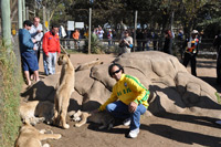 Lion Park