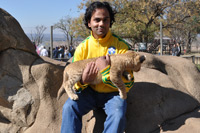 Lion Park