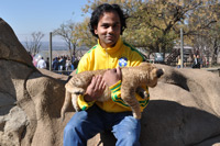 Lion Park