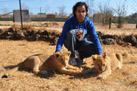 Cheetahs, Lions & Servals