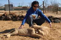 Cheetahs, Lions & Servals