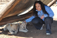 Cheetahs, Lions & Servals