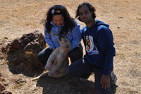 Cheetahs, Lions & Servals