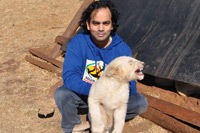 Cheetahs, Lions & Servals