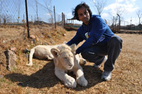 Cheetahs, Lions & Servals