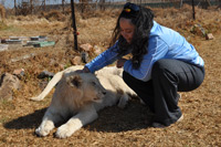 Cheetahs, Lions & Servals