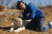 Cheetahs, Lions & Servals