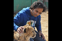 Cheetahs, Lions & Servals